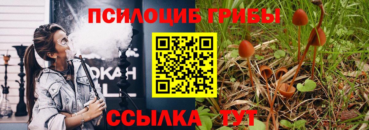 Галлюциногенные грибы Cubensis Йошкар-Ола