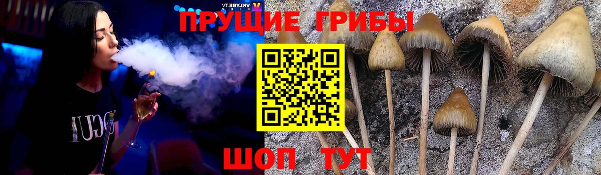 Псилоцибиновые грибы ЛСД  Галлюциногенные грибы ЛСД  Вход с VPN  Йошкар-Ола 